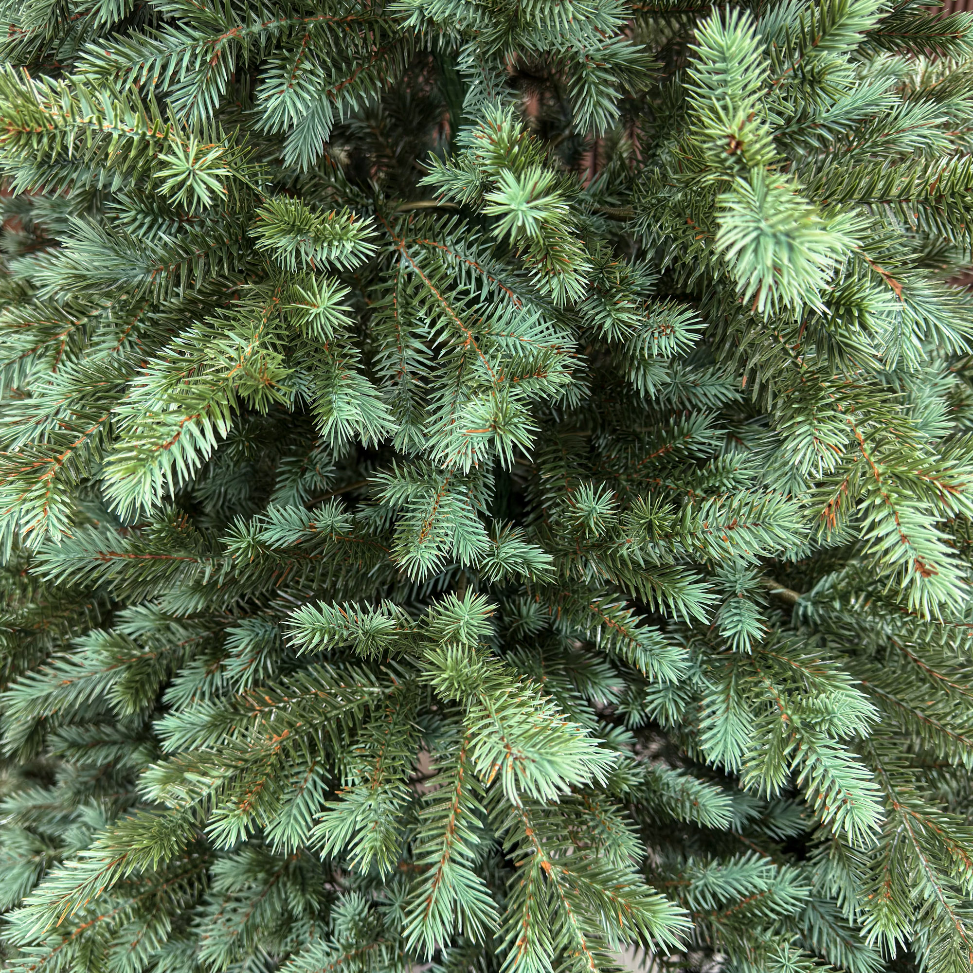 Brad artificial Sersimo, Scandinavia, verde cu varfuri argintii, integral 3D, 210 cm Household NewTrend