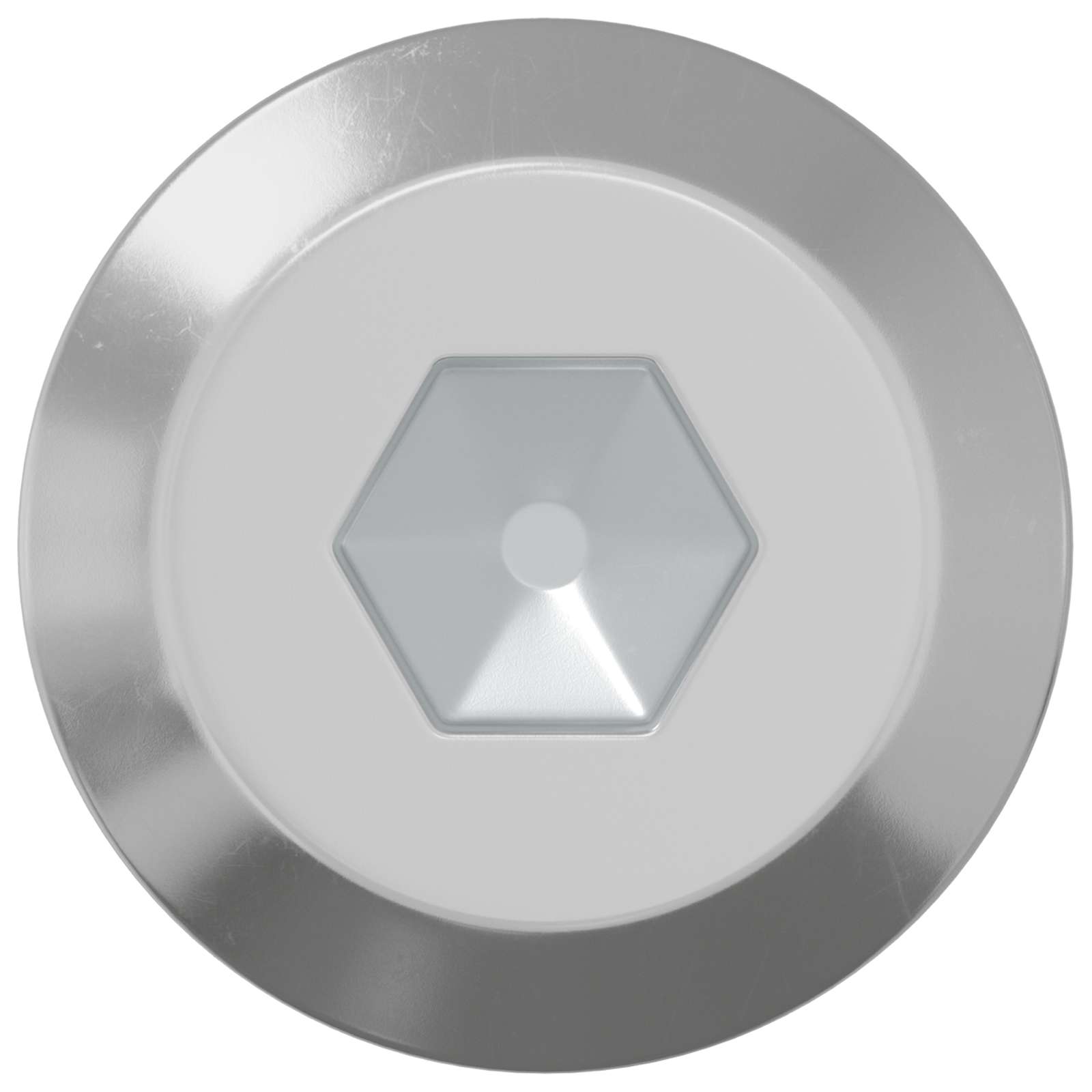 Șurub 2 pcs Argintiu M6 x 100 mm Oțel GartenMobel Dekor