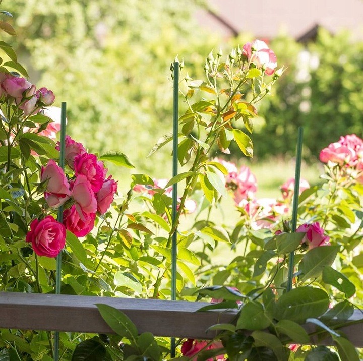 Arac plante, lungime 120 cm, diametru 16 mm, teava otel si plastic MultiMark GlobalProd