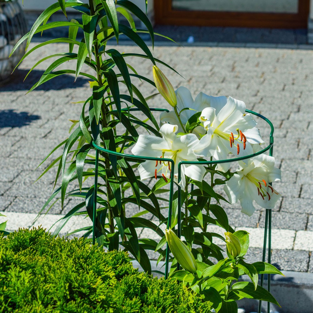 Suport metalic pentru flori, set 3 bucati, verde, 15x45 cm MultiMark GlobalProd