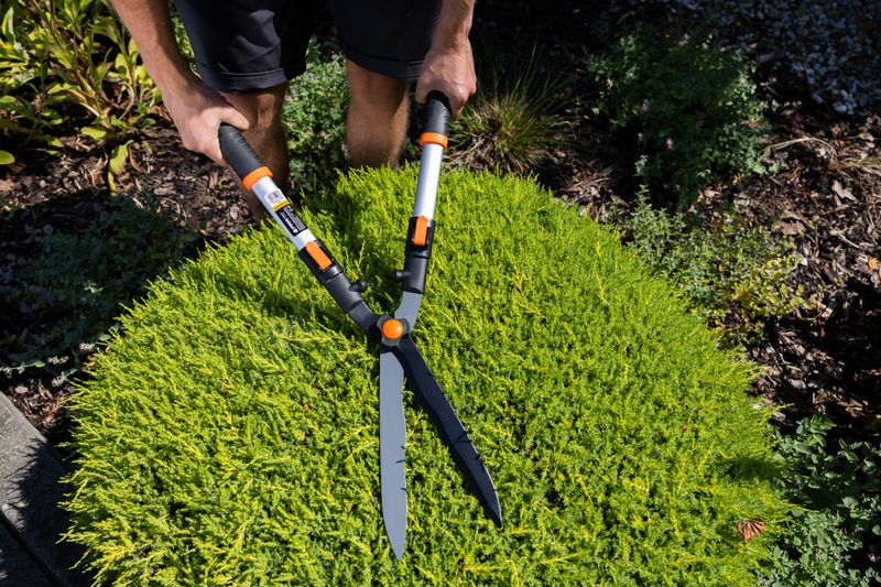 Foarfecă telescopică pentru gard viu Strend Pro KT3833A, aluminiu