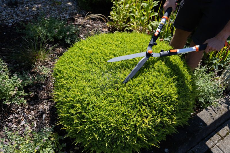 Foarfecă telescopică pentru gard viu Strend Pro KT3833A, aluminiu