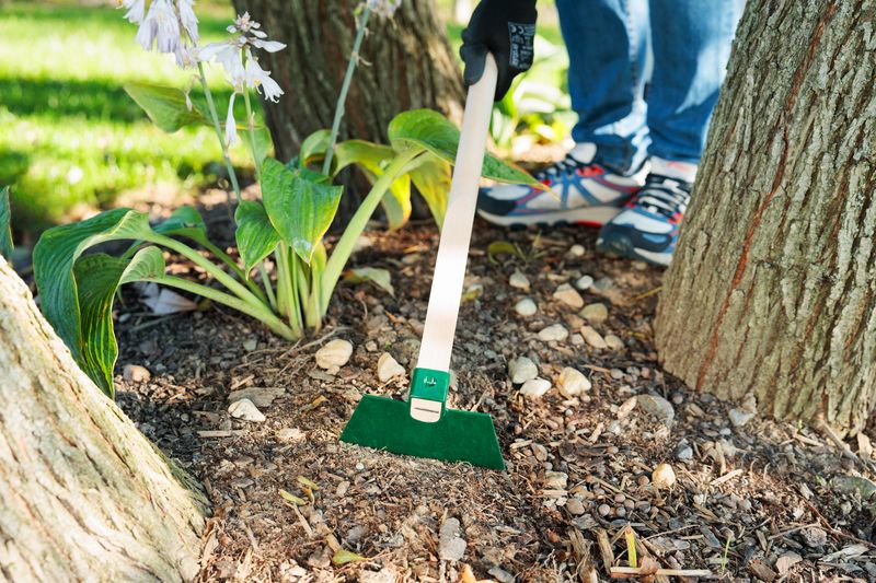 Motocă FED 210/1200, plată, 160 mm, cu coadă din lemn