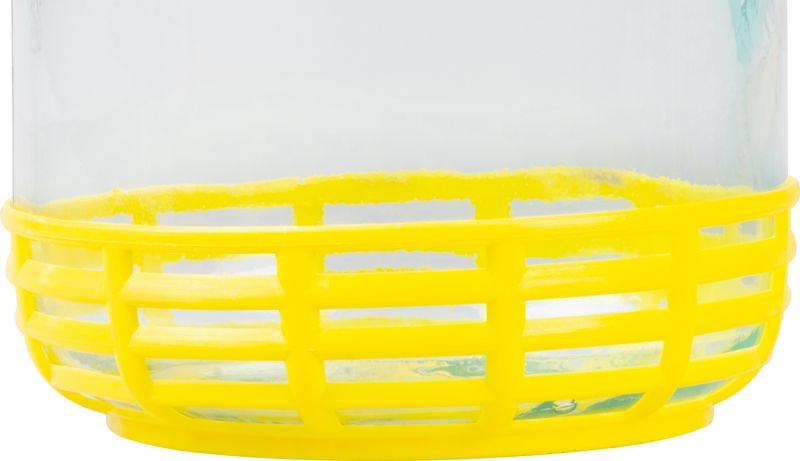 Damigeană din sticlă Strend Pro Stella 3L cu capac, pentru vin și distilate