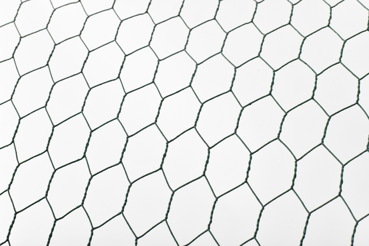 Tarc/Coteț pentru păsări 3x6x2 m Micul Fermier G01 – țarc găini cu plasă galvanizată și acoperiș anti-UV