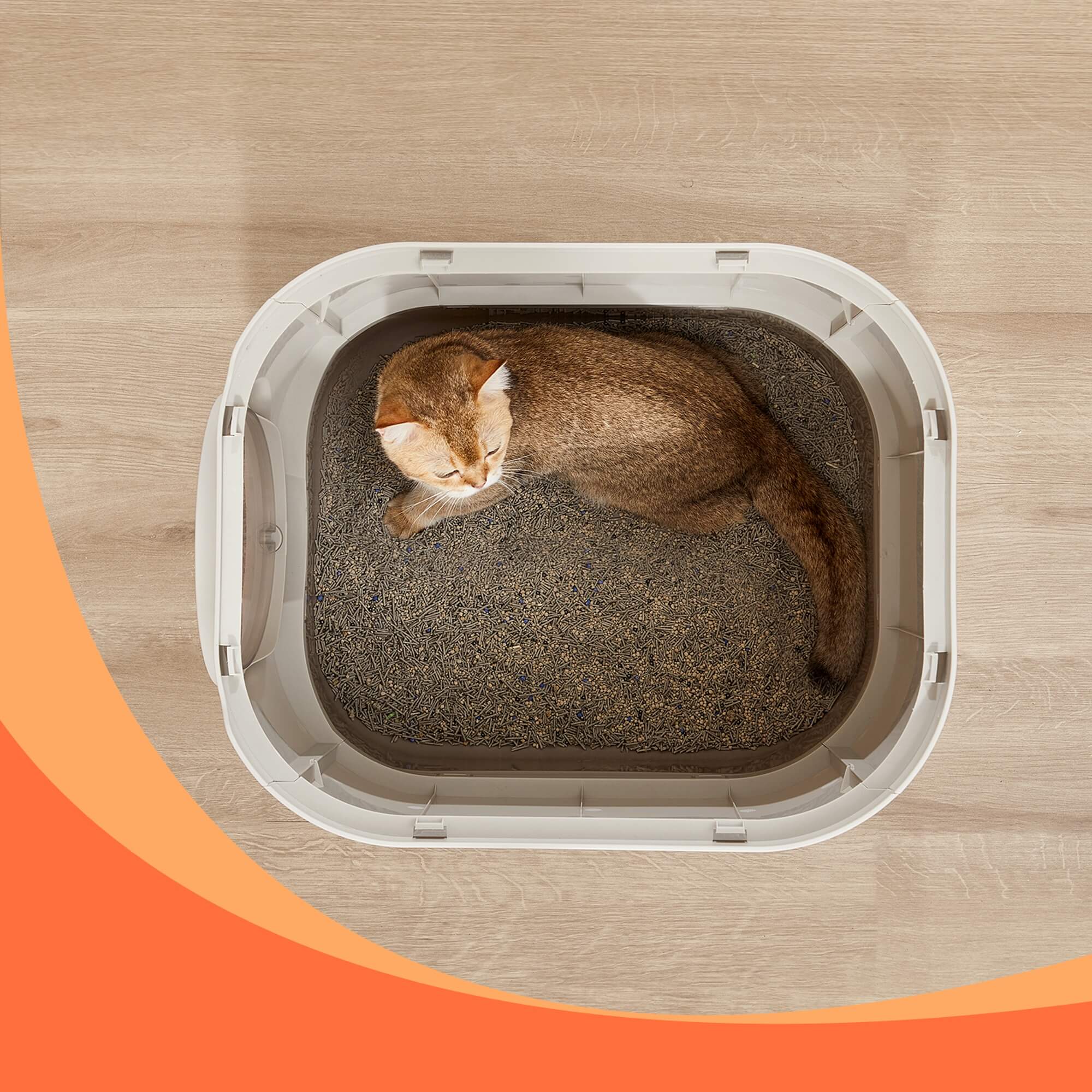 FEANDREA Litiera pentru pisici XXL cu capac, tava extensibila si accesorii incluse, din plastic PP, 54x43x40 cm, gri deschis Household NewTrend