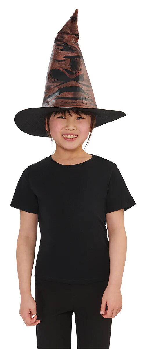 Palarie magica & insigne Harry Potter PlayLearn Toys