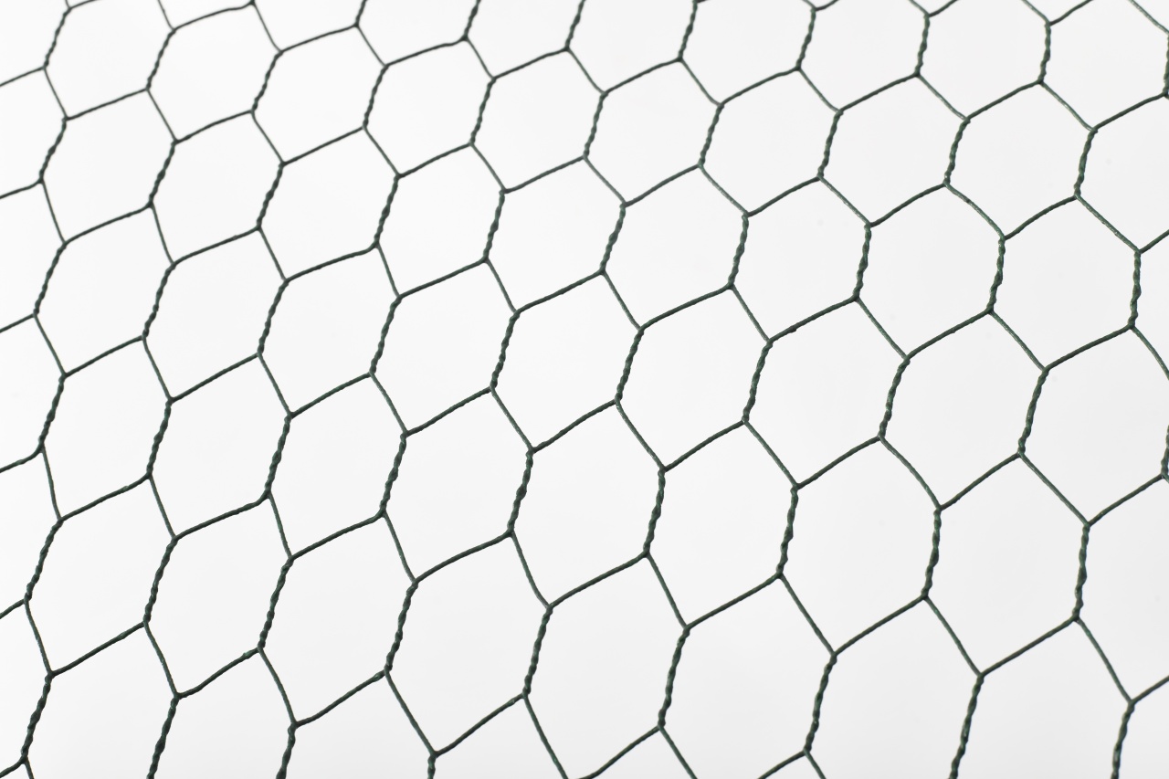 Cotet (tarc) pentru pasari 3x10x2 m galvanizat, cu acoperis UV, Micul Fermier