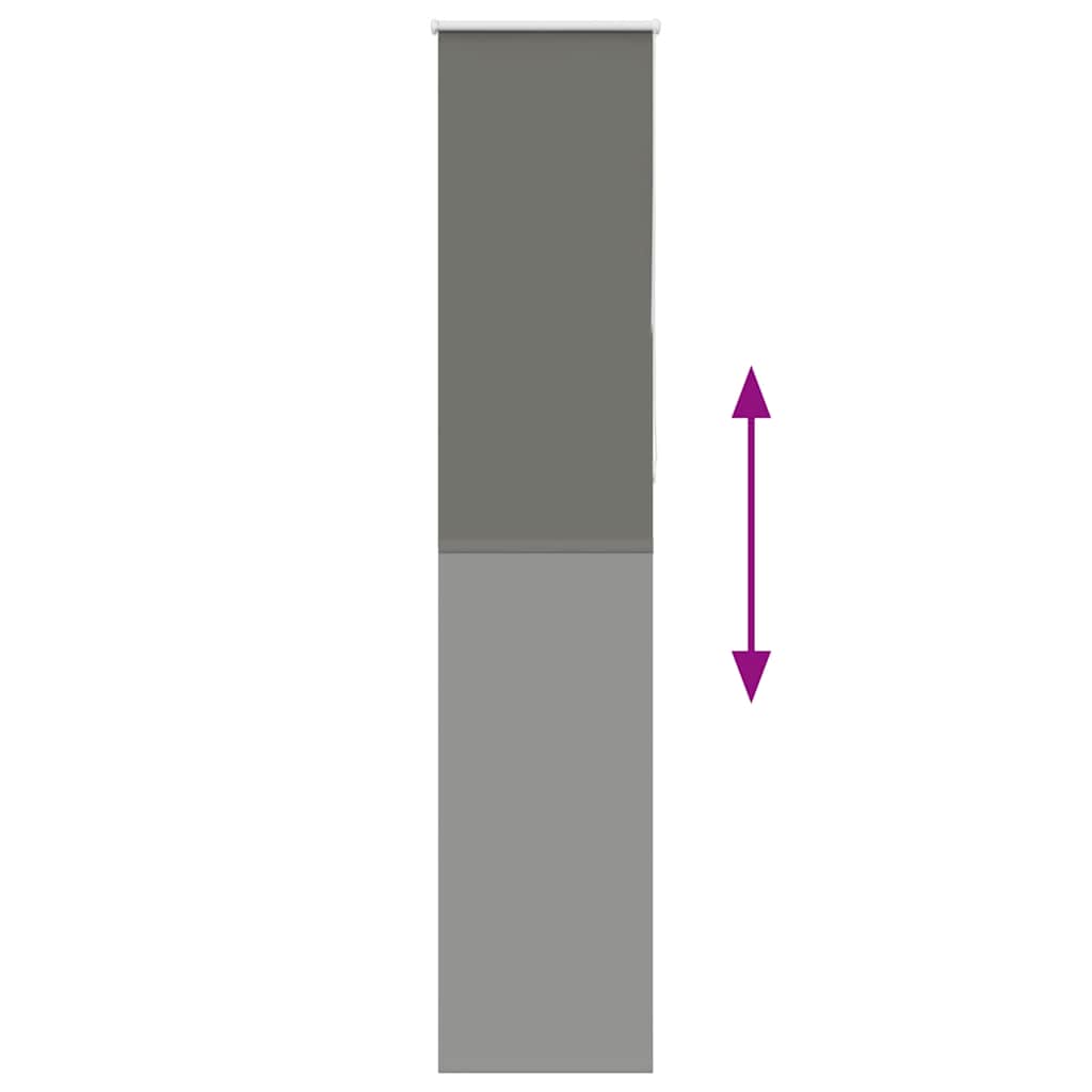 Jaluzea cu role opace gri 60x230 cm lățime material 55,7 cm GartenMobel Dekor