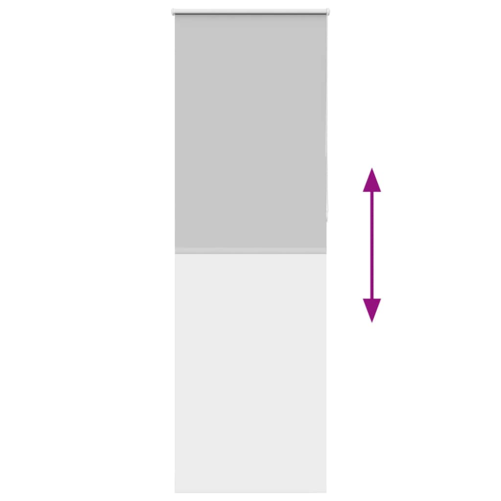 Jaluzea cu role opace 65x210 cm lățime material 60,7 cm GartenMobel Dekor