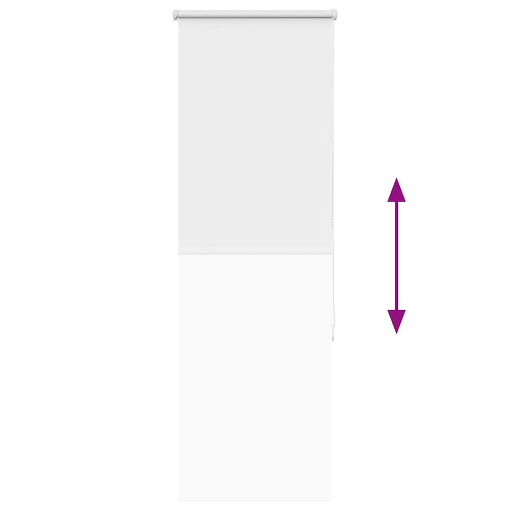 Jaluzea cu role opace alb 55x175 cm lățime material 50,7 cm GartenMobel Dekor