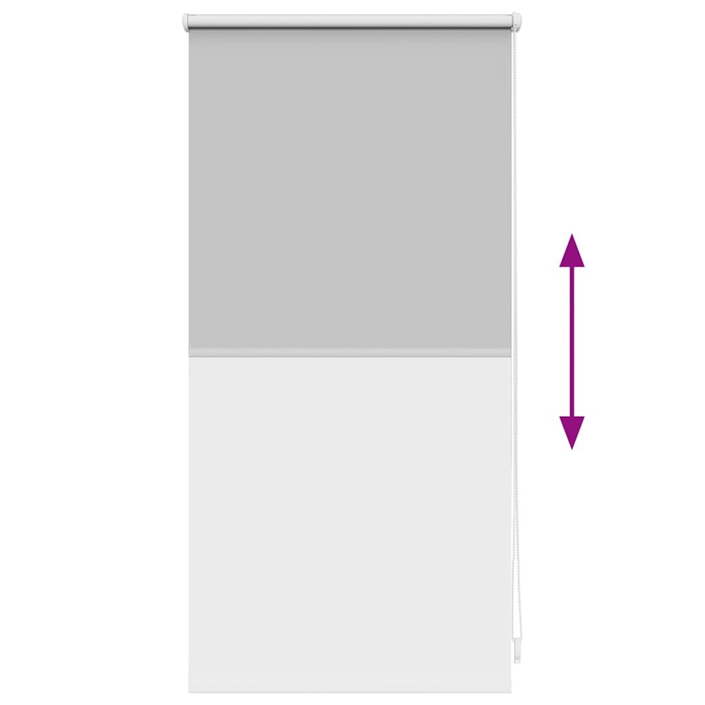 Jaluzea opacă 44,4x100 cm, lățime material 40 cm, gri GartenMobel Dekor