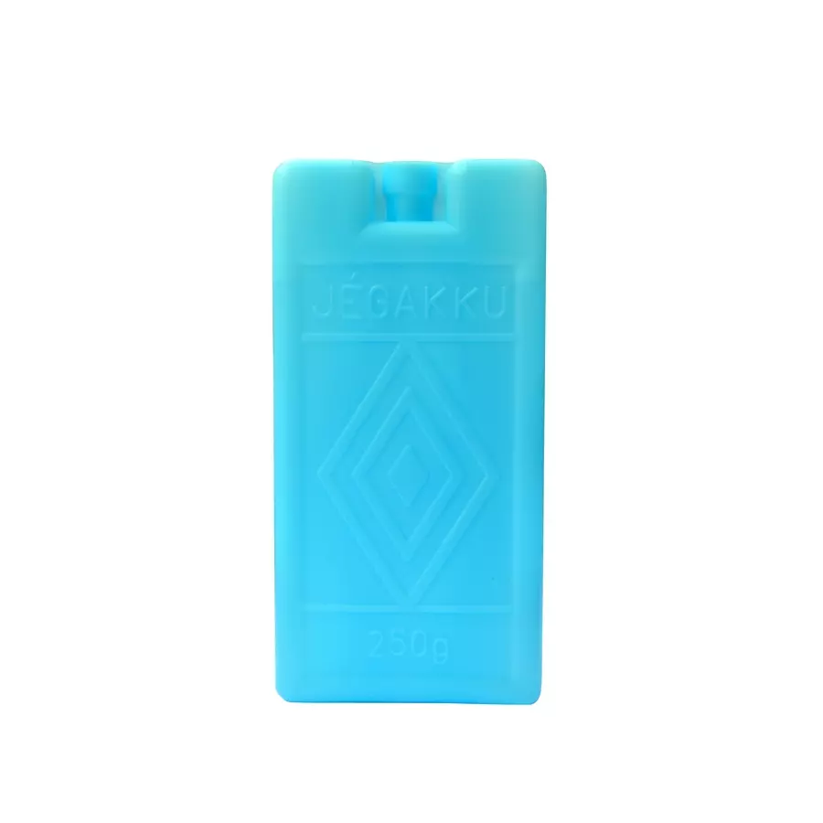 Pachet de gheață reutilizabil 250 g pentru geantă frigorifică, Perfect Home