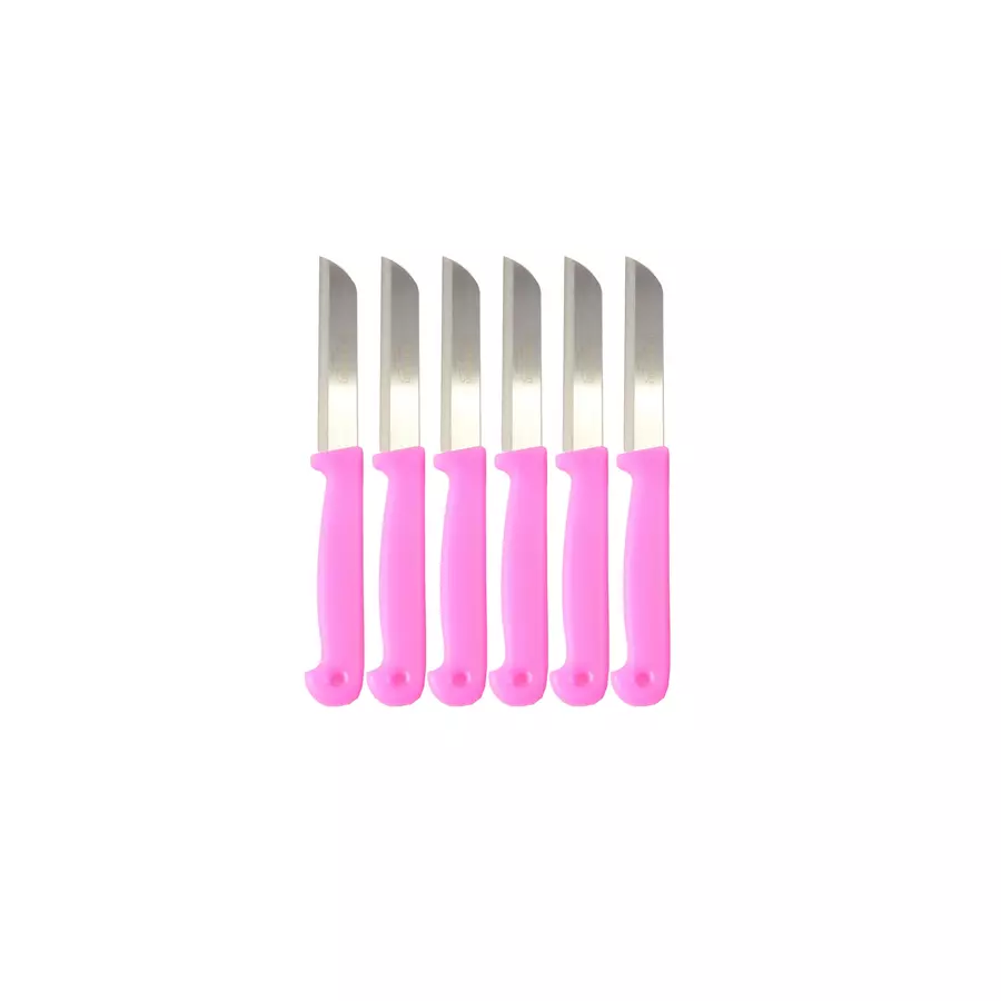 Set 6 cuțite pentru legume din inox, cu mâner ergonomic din plastic