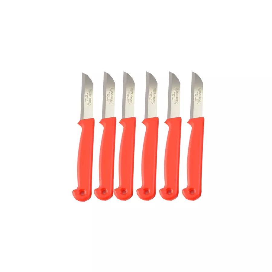 Set 6 cuțite pentru legume din inox, cu mâner ergonomic din plastic