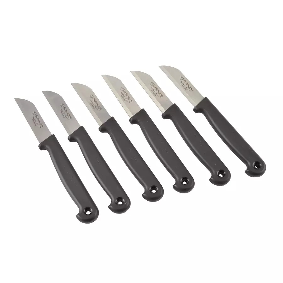 Set 6 cuțite pentru legume din inox, cu mâner ergonomic din plastic