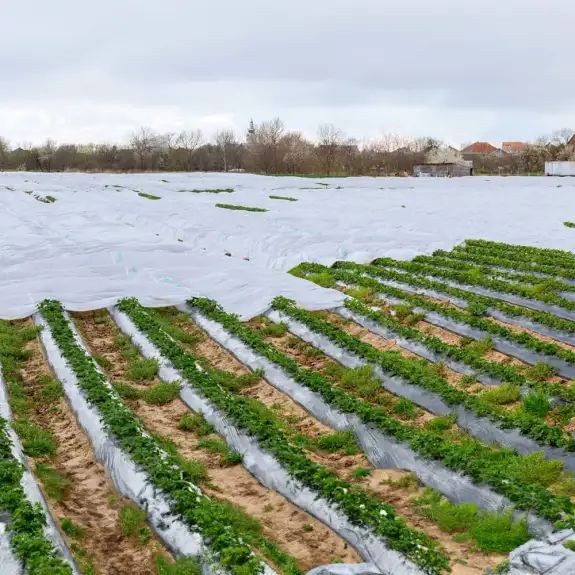 Folie agril microporoasă anti îngheț 2,1x20 m, 17 g/mp, albă, reutilizabilă