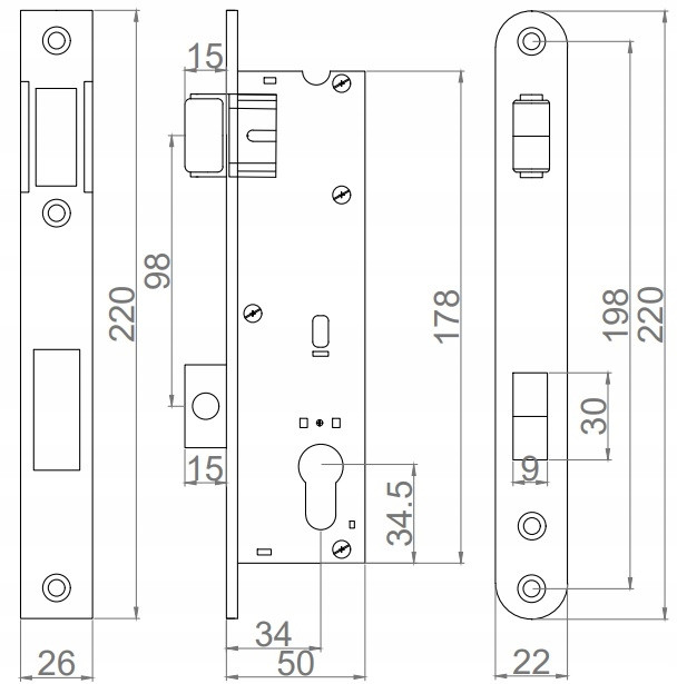 Broască cu bilă încastrată pentru ușă PVC, galvanizată, 22x50x220 mm