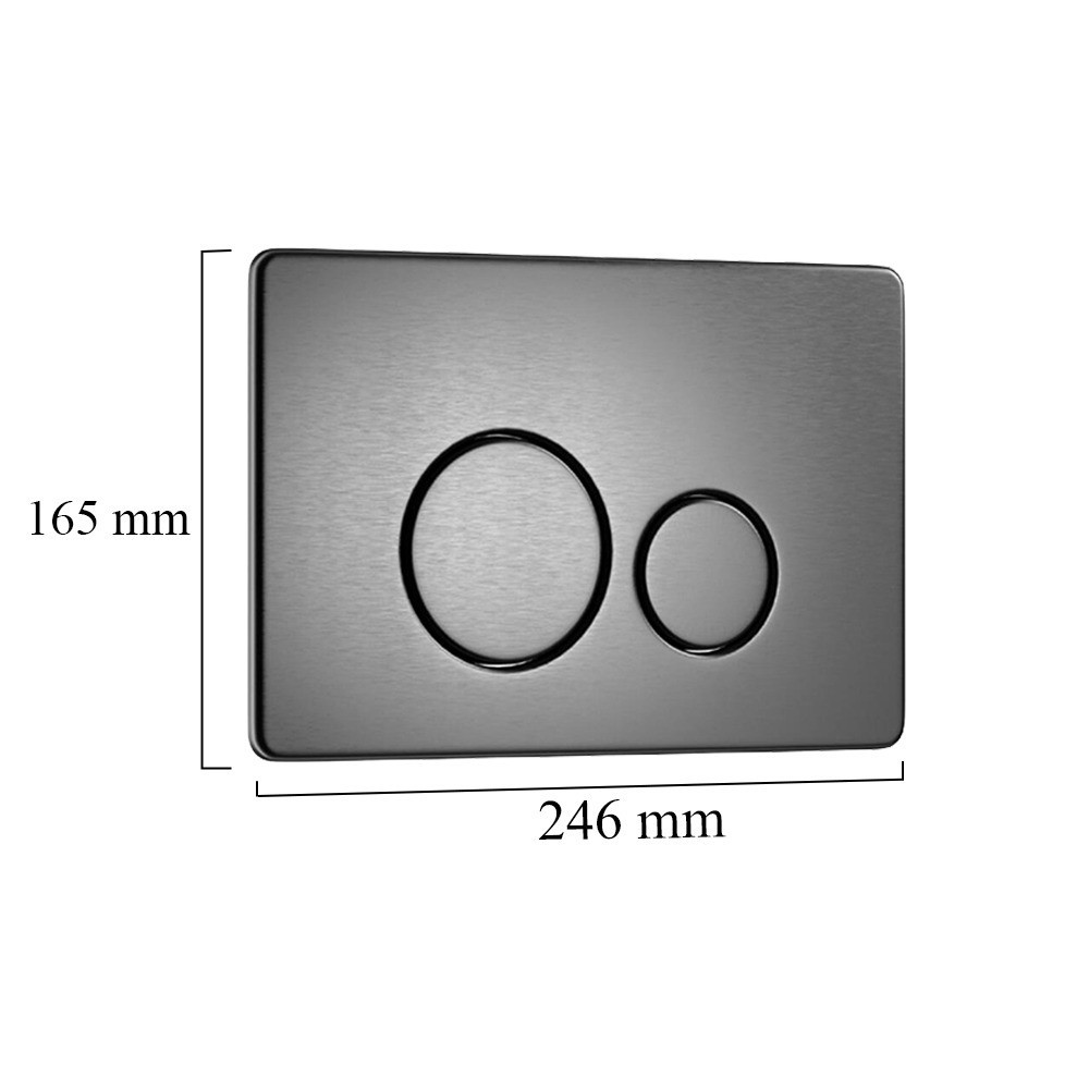 Placă de acționare WC Leziter ROYA 081, gri, inox 304, 246 x 165 mm