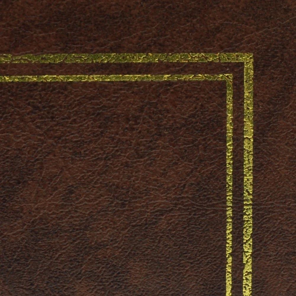 Album foto clasic tip carte 13x18 pentru 100 poze, copertă tare maro