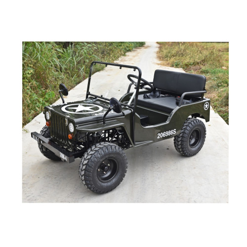 Mini Jeep off-road 125cc, 7.5 CP, 3 viteze cu marsarier (JW1101-125)