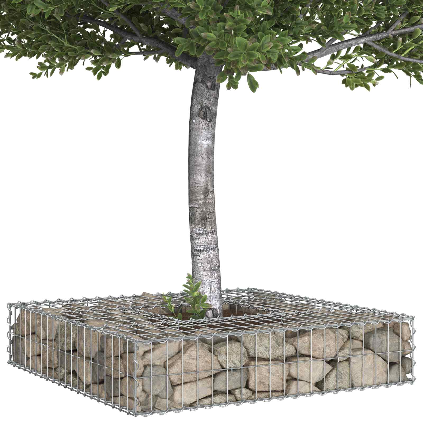 Pat ridicat din gabion Argintiu 100 x 100 x 20 cm GartenMobel Dekor