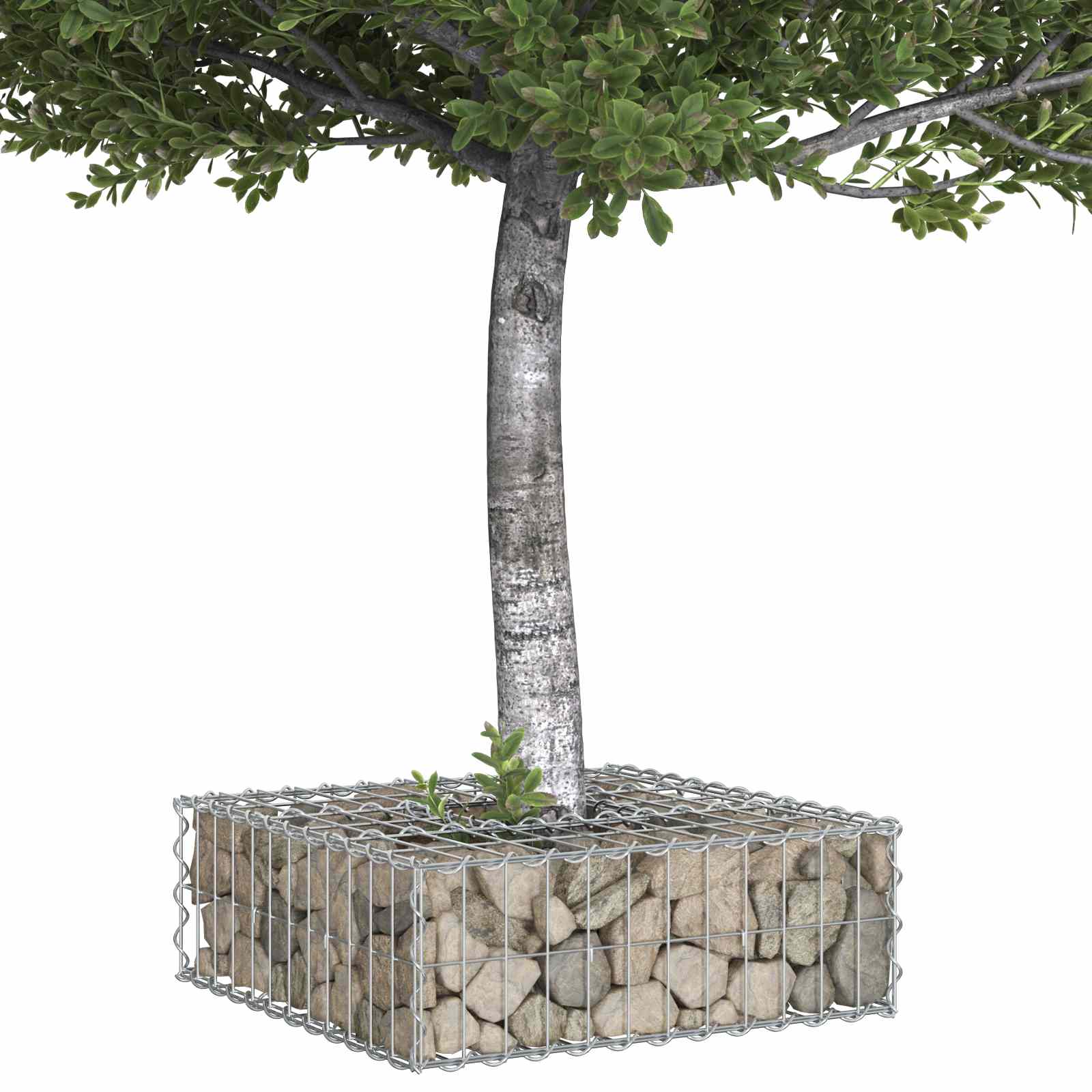 Pat ridicat din gabion Argintiu 60 x 60 x 20 cm Oțel Galvanizat GartenMobel Dekor