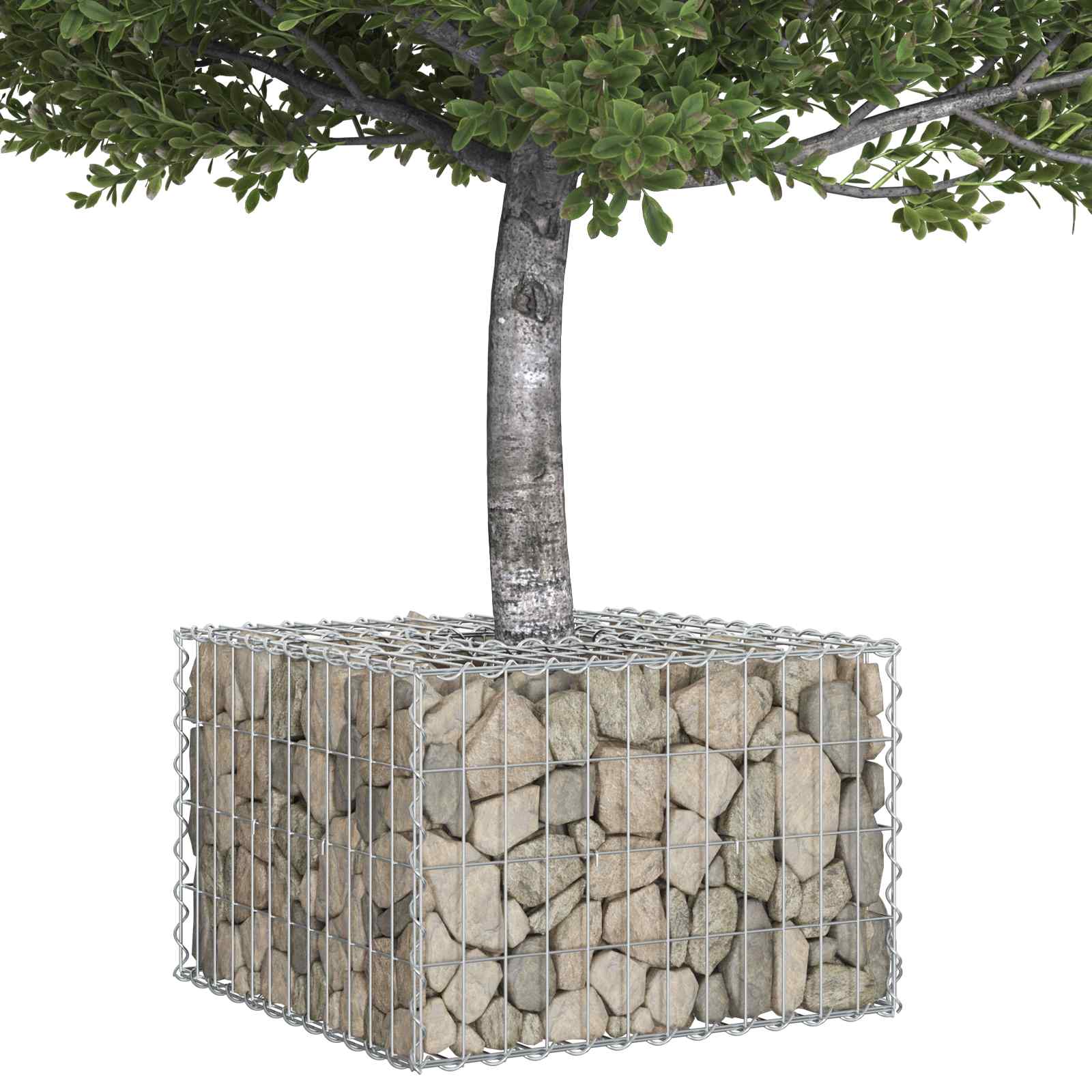 Pat ridicat din gabion Argintiu 60 x 60 x 40 cm Oțel Galvanizat GartenMobel Dekor