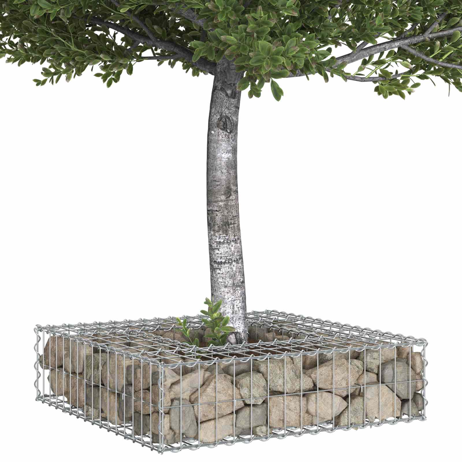 Pat ridicat din gabion Argintiu 80 x 80 x 20 cm Oțel Galvanizat GartenMobel Dekor