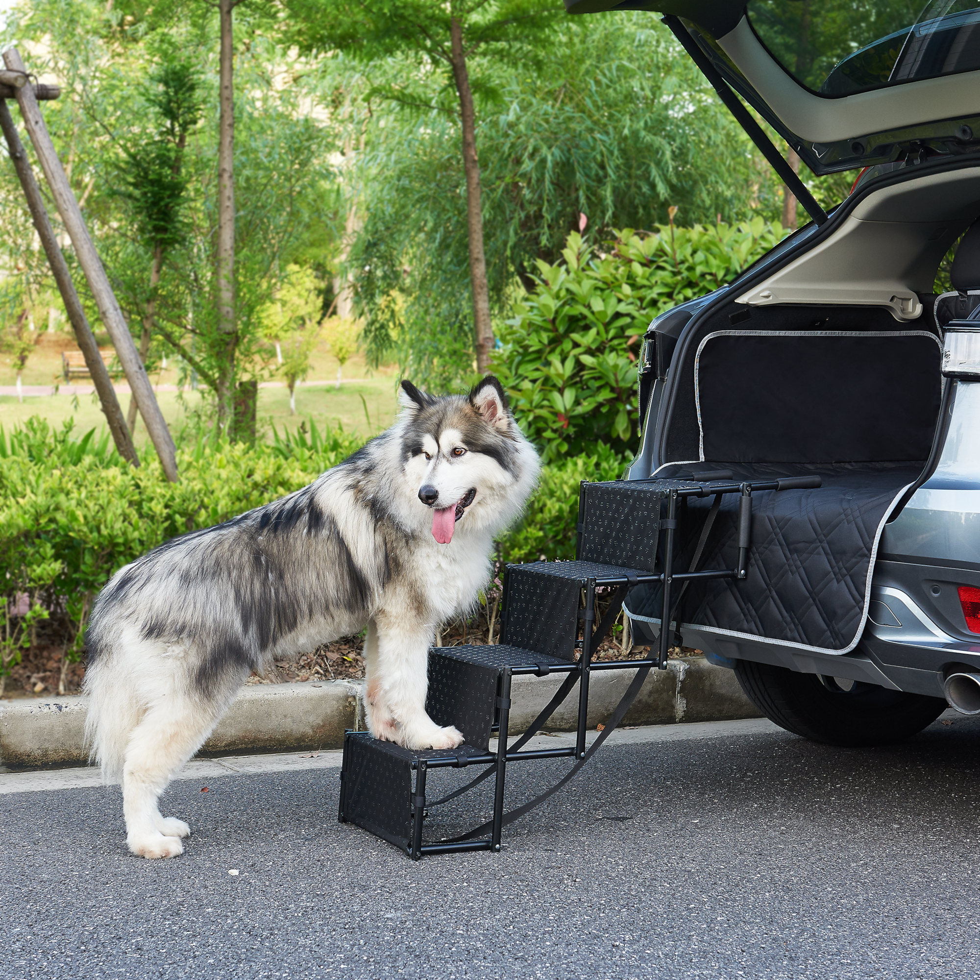 Treaptă pliabilă pentru câini Colchester, 4 trepte, max. 55 kg