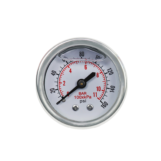 Manometru inox ProGARDEN 0-11 bar orizontal FE1/4 cu lichid anti-vibratii