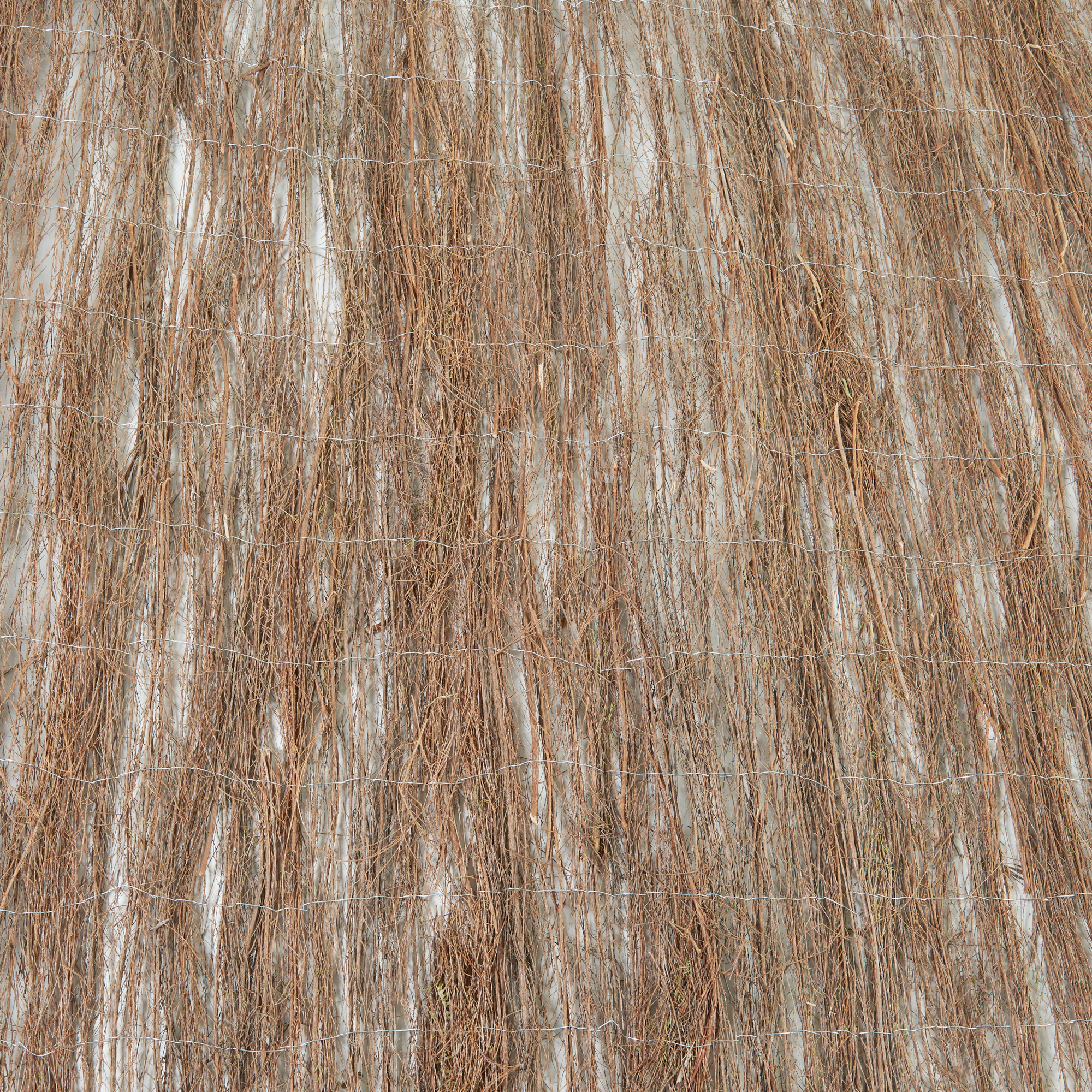 Gard din nuiele Brielle pentru intimitate, 500 x 100 cm, natural