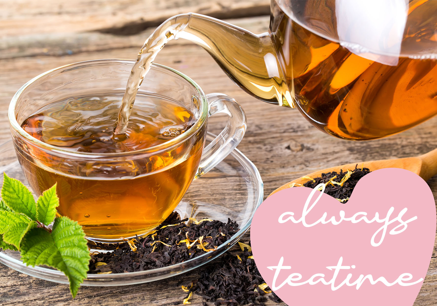 Fierbator electric Trisa Good Vibes 1,7L, editie limitata, otel inoxidabil