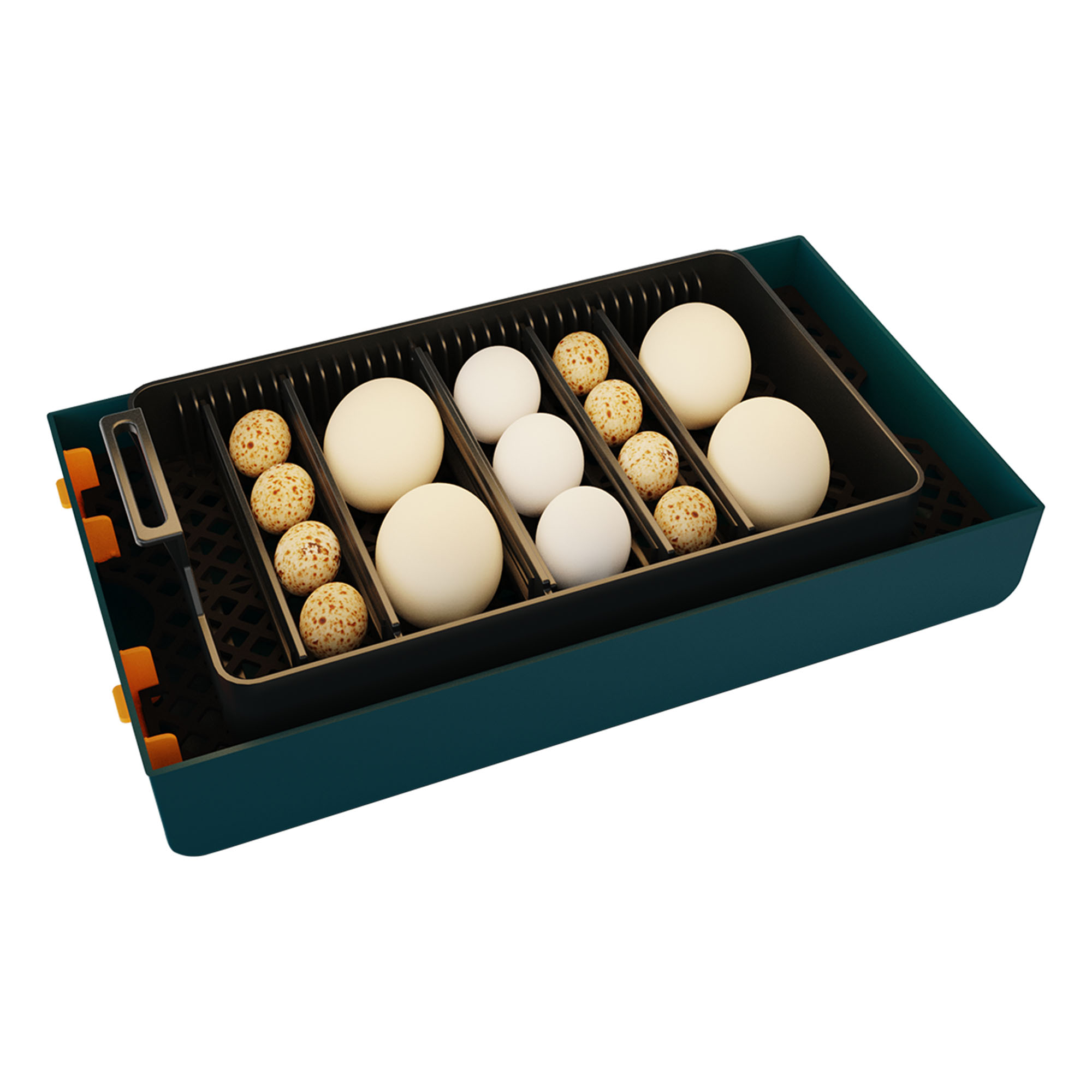 Incubator automat pentru 10 ouă cu afișaj umiditate Electromureș EM 3001