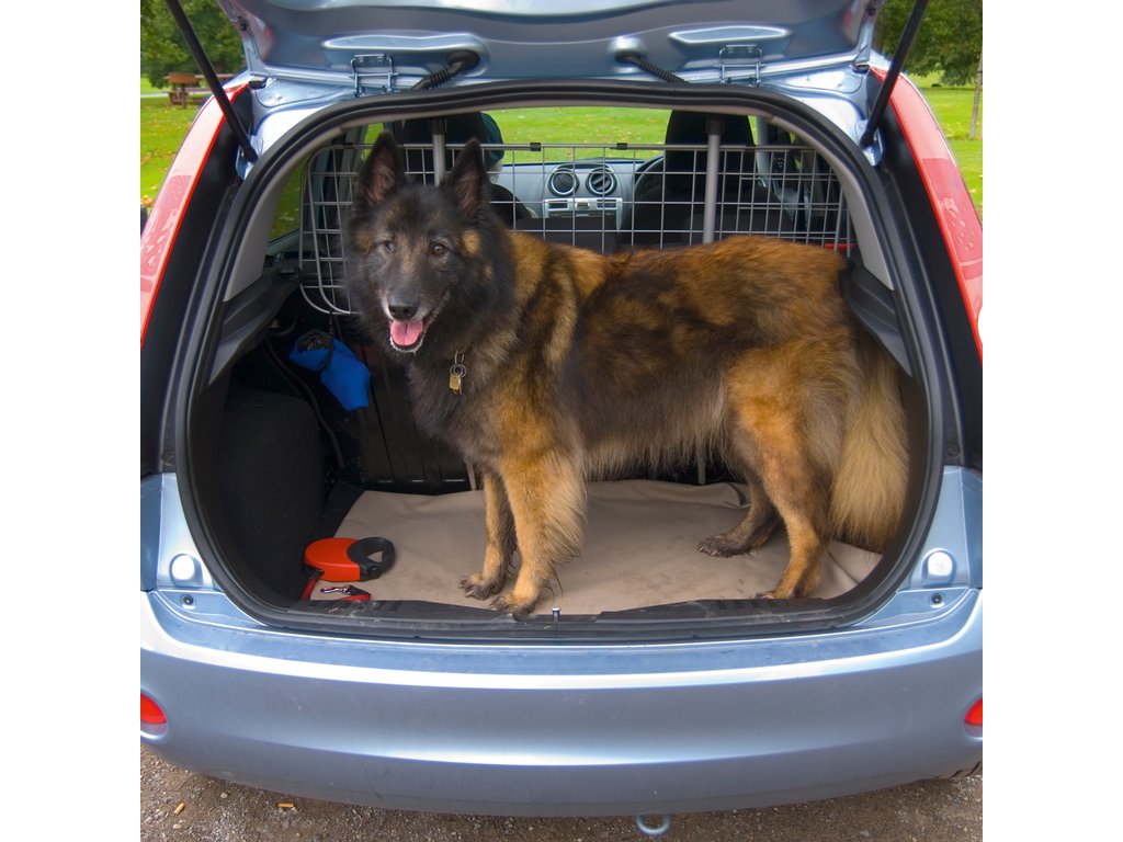 Grilaj separator portbagaj auto reglabil Carpoint pentru caini si bagaje