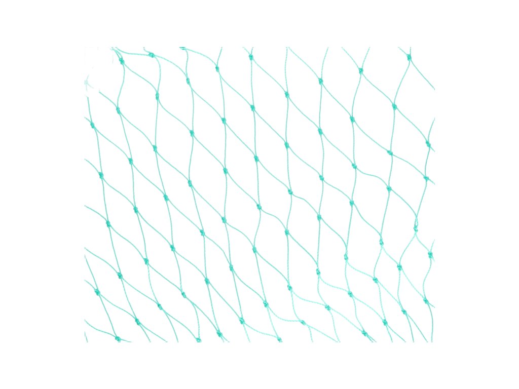 Plasa elastica Carpoint pentru remorca si trailer 200x300 cm