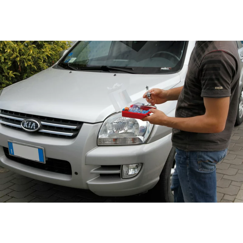 Kit becuri auto si sigurante 19 piese 12V cu 2 becuri halogen H4