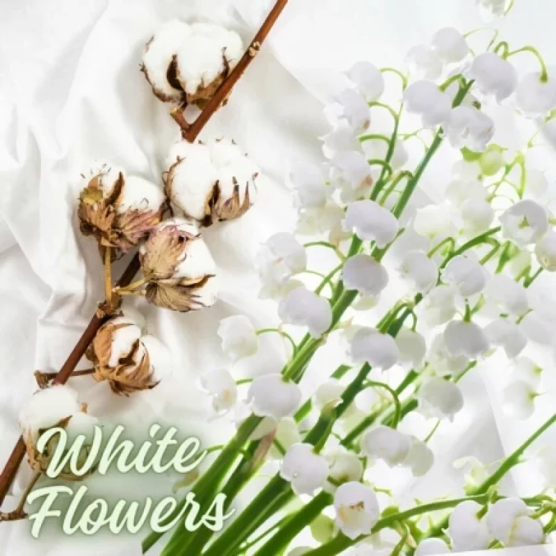 Odorizant auto cu atomizor K2 Cayon White Flowers 250 ml