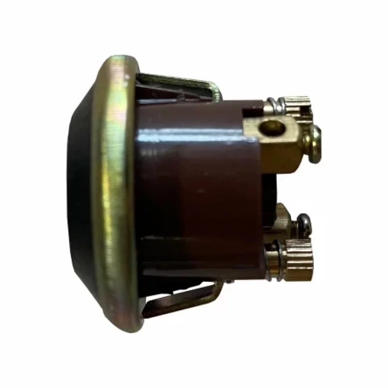 Buton de pornire 24V 10A cu revenire pentru camioane si utilaje