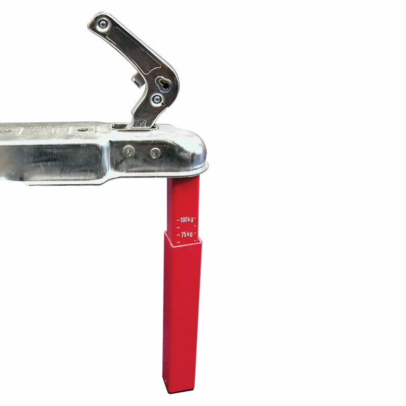 Cantar pentru apasare protap remorca sau rulota, masurare pana la 100 kg