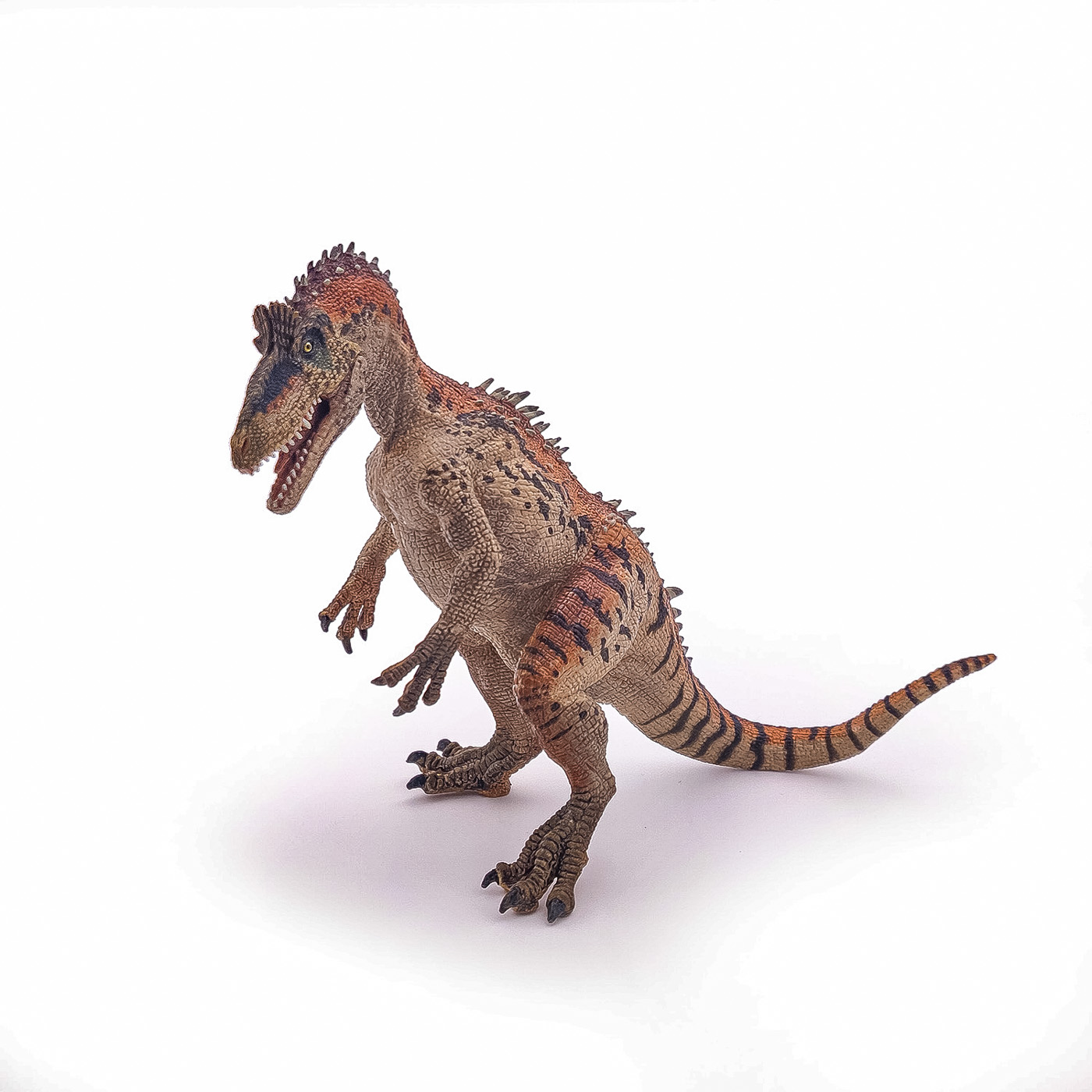 Figurina Papo Cryolophosaurus realistă, pictată manual, 14,5 cm