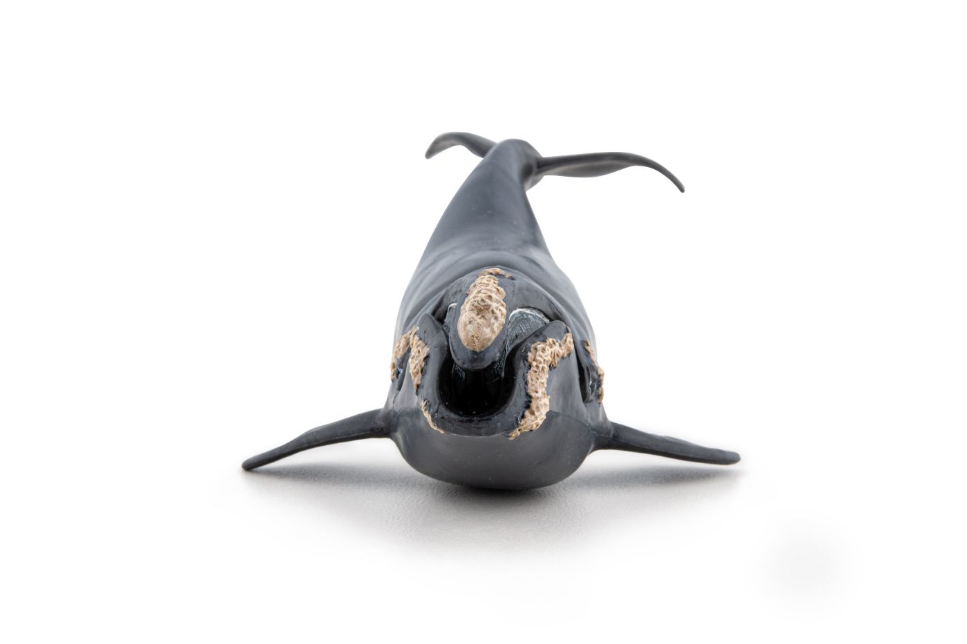 Figurina balena Papo realistă, pictată manual, pentru copii 3+ ani