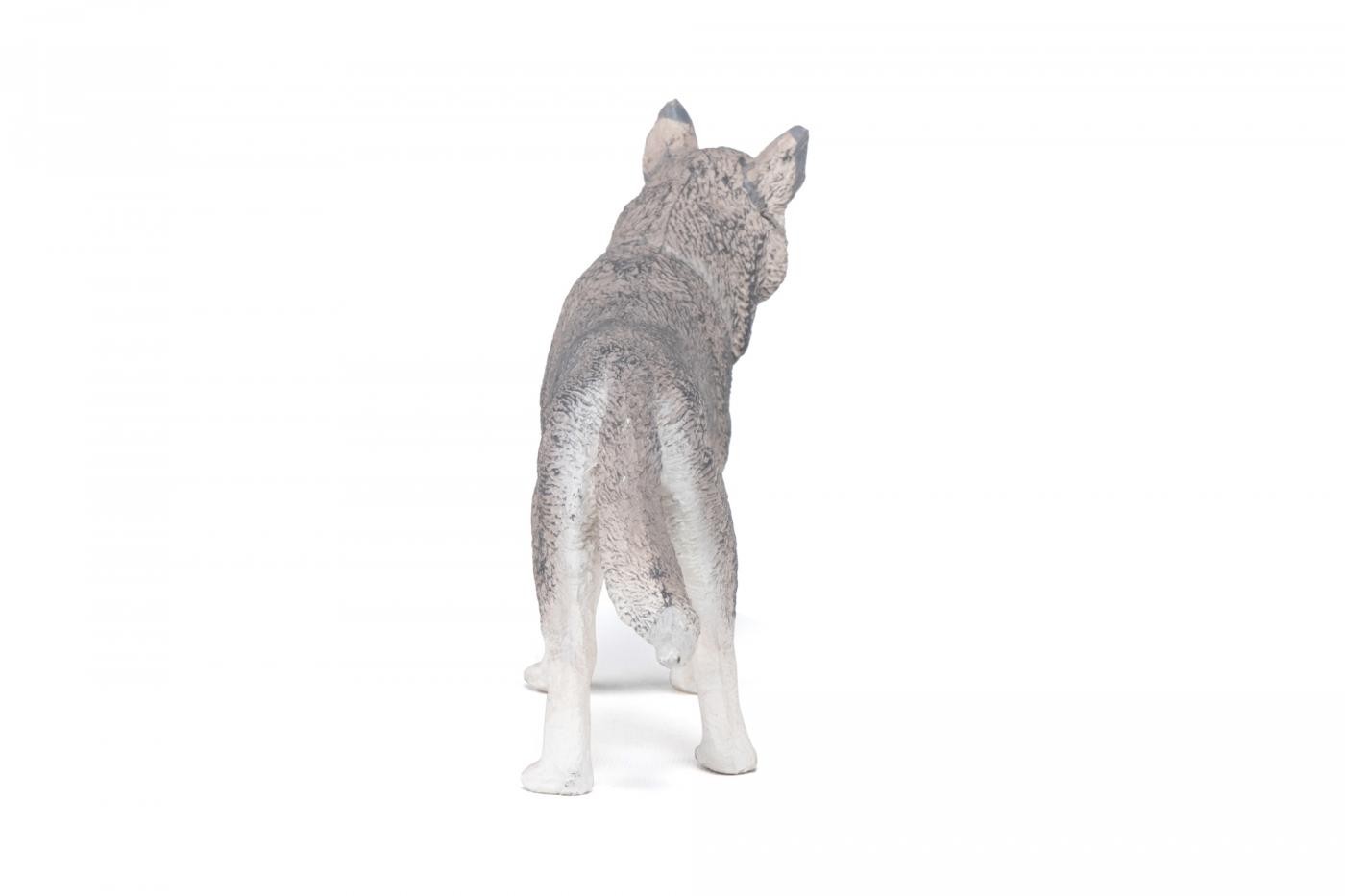 Figurina Husky Siberian Papo pictata manual pentru copii 3+