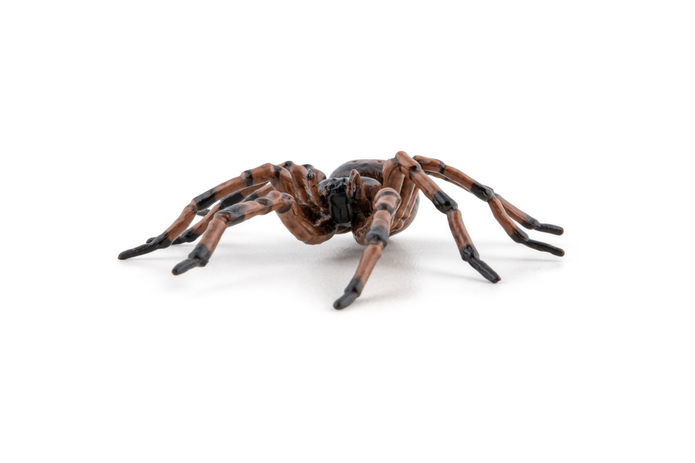 Figurină Papo Păianjen realistă, pictată manual, pentru copii 3+ ani