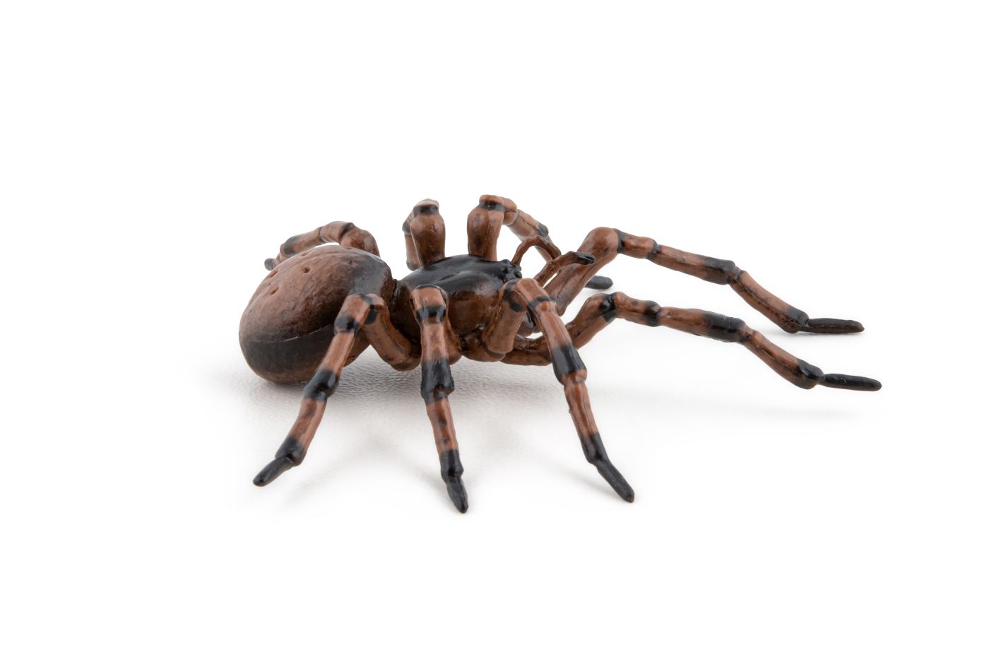 Figurină Papo Păianjen realistă, pictată manual, pentru copii 3+ ani