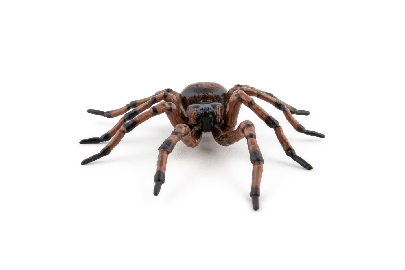 Figurină Papo Păianjen realistă, pictată manual, pentru copii 3+ ani