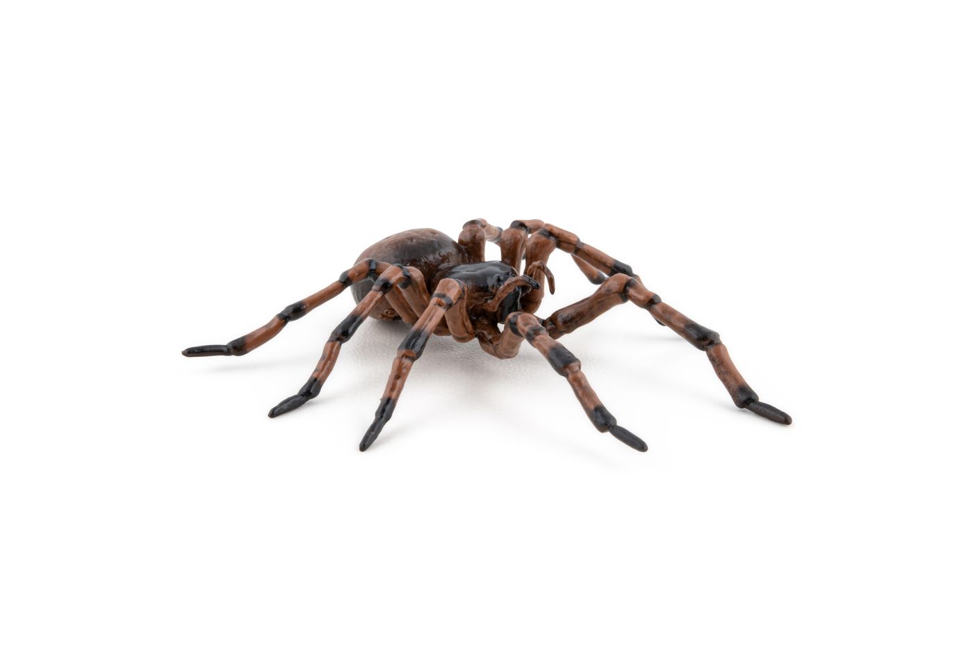 Figurină Papo Păianjen realistă, pictată manual, pentru copii 3+ ani