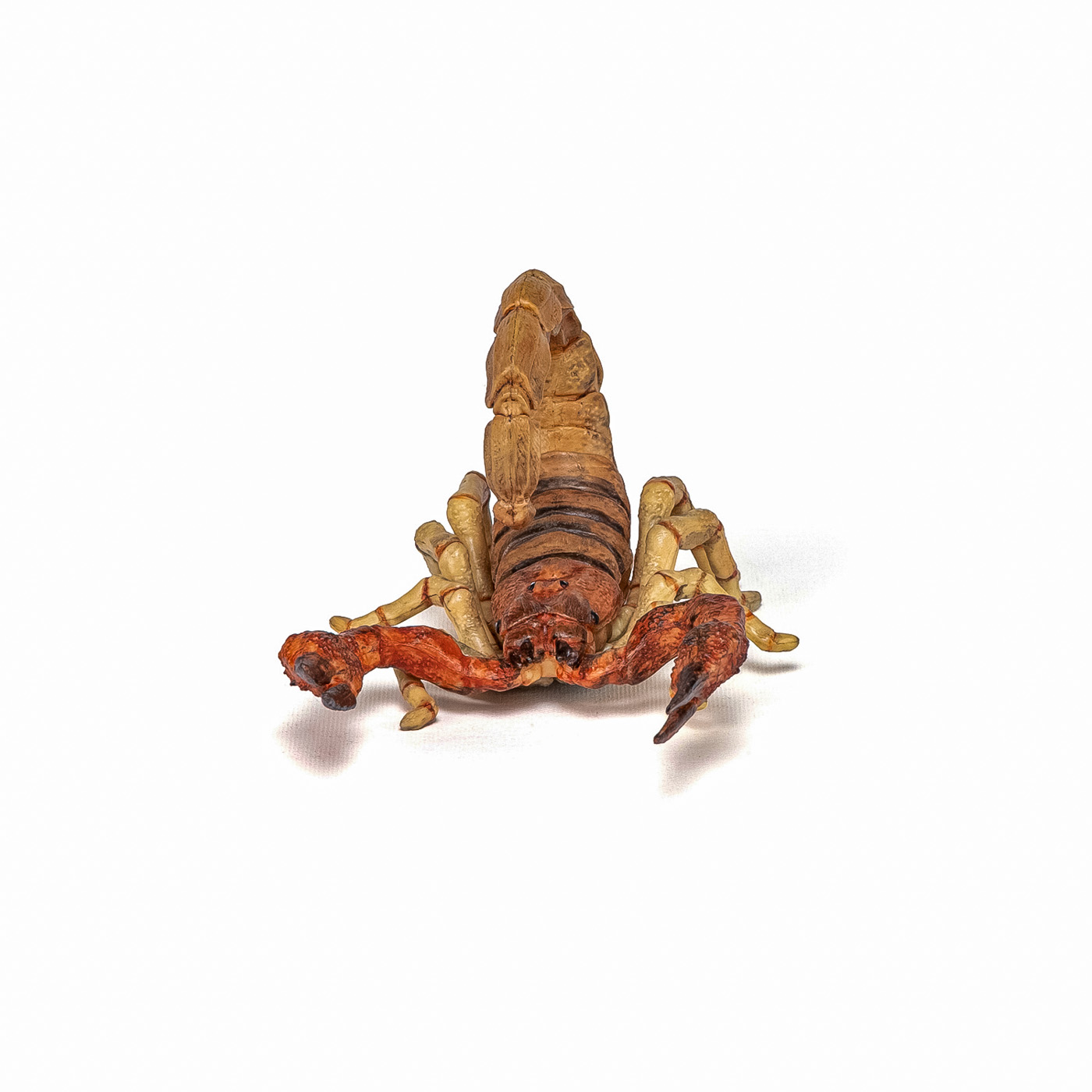 PAPO FIGURINA SCORPION