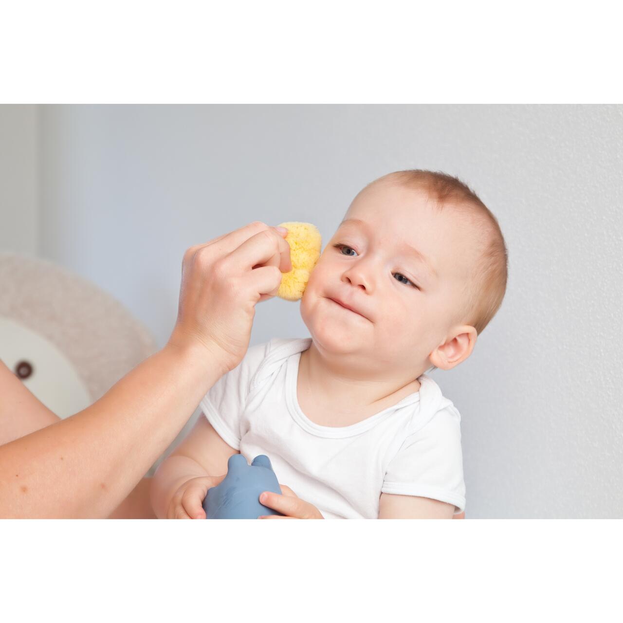 Burete natural de baie pentru bebelusi Zimocca Grunspecht, 7-8 cm