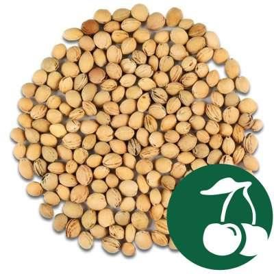 Pernuta termica anticolici pentru bebelusi cu samburi de cirese, 16 x 16 cm, Gruenspecht